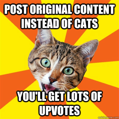 post original content instead of cats you'll get lots of upvotes  Bad Advice Cat