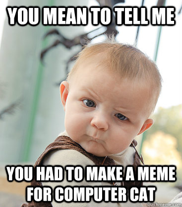 you mean to tell me you had to make a meme for computer cat  skeptical baby