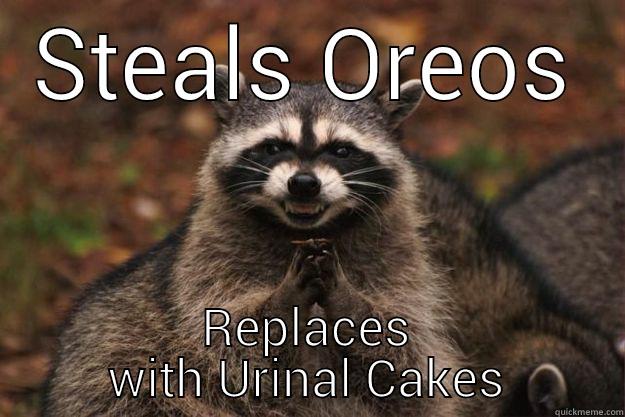 Campsite Racoon - STEALS OREOS REPLACES WITH URINAL CAKES Evil Plotting Raccoon