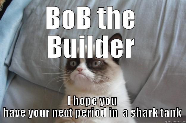 Cathy lol - BOB THE BUILDER I HOPE YOU HAVE YOUR NEXT PERIOD IN  A SHARK TANK Grumpy Cat