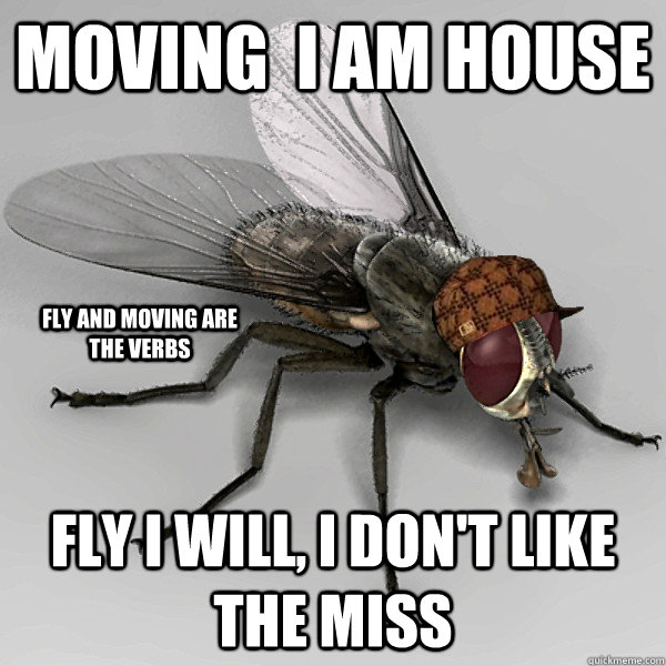 moving  i am house   fly i will, i don't like the miss fly and moving are the verbs  
