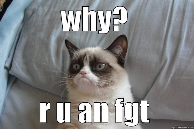 WHY? R U AN FGT Grumpy Cat