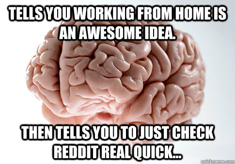 Tells you working from home is an awesome idea. Then tells you to just check reddit real quick...  Scumbag Brain