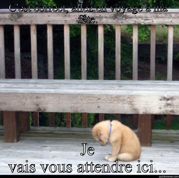 Sad birthday puppy - C'EST CORRECT, ALLEZ EN VOYAGE À MA FÊTE. JE VAIS VOUS ATTENDRE ICI... Misc