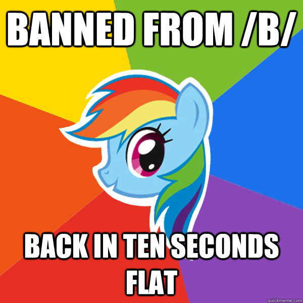 banned from /b/ back in ten seconds flat   Rainbow Dash