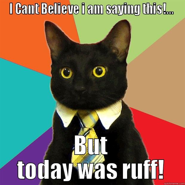 I Cant believe... - I CANT BELIEVE I AM SAYING THIS!... BUT TODAY WAS RUFF! Business Cat