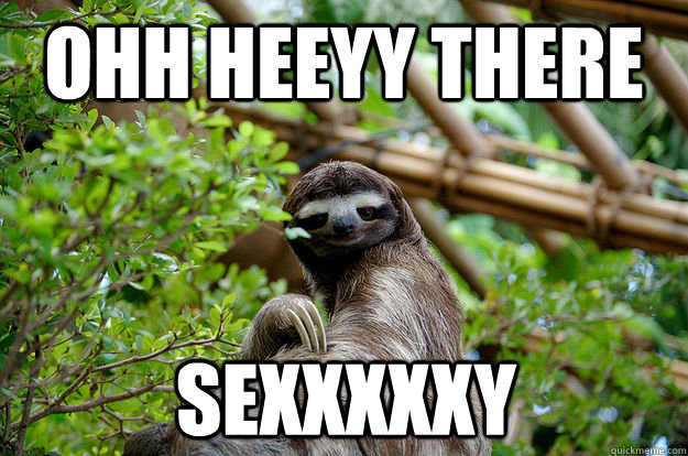 Ohh heeyy there Sexxxxxy  Fabulous Sloth