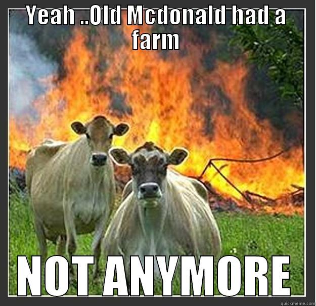 ruthless cows - YEAH ..OLD MCDONALD HAD A FARM NOT ANYMORE Evil cows