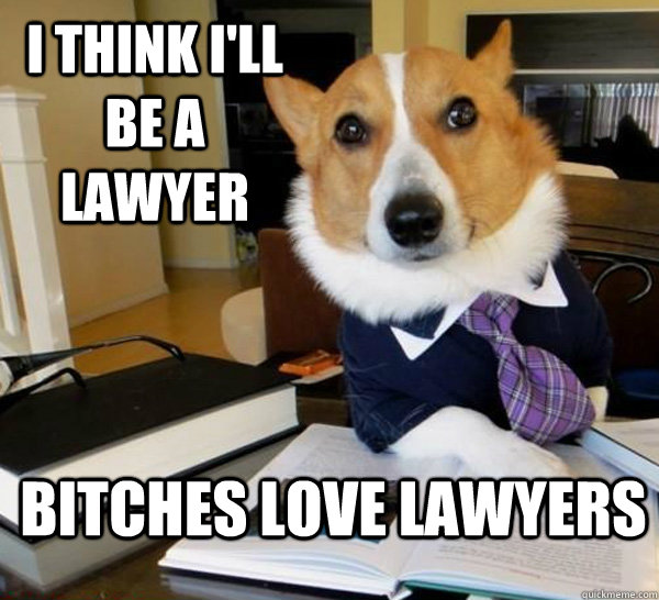 I think i'll be a lawyer bitches love lawyers  Lawyer Dog