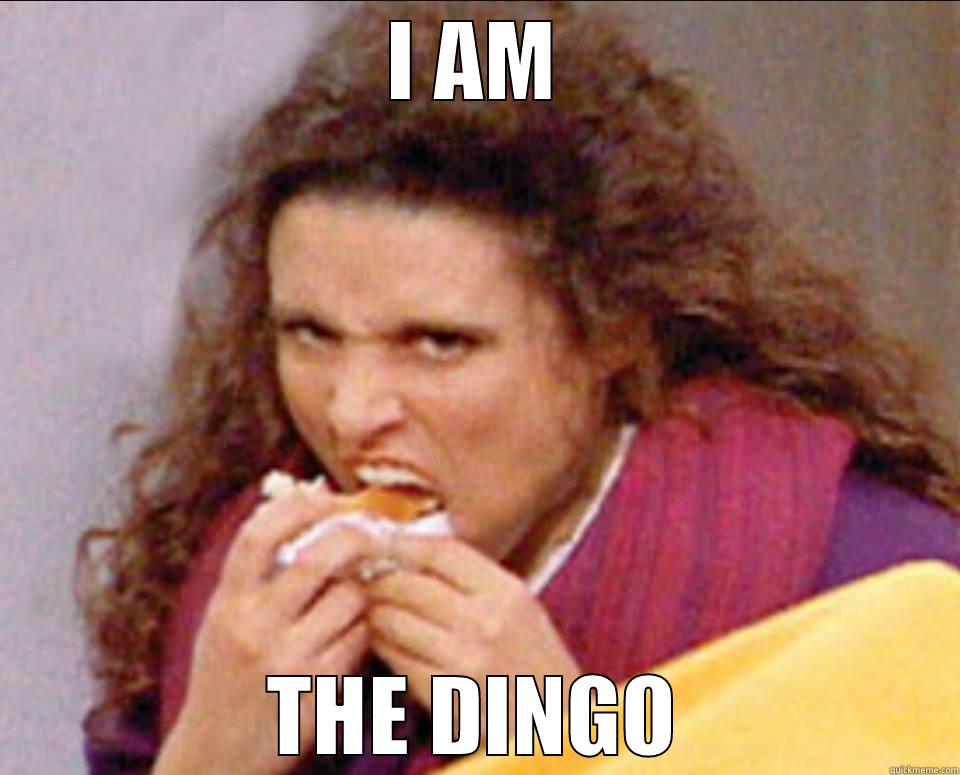 The Munchies - I AM THE DINGO Misc