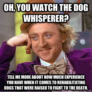 Oh, you watch the dog whisperer? Tell me more about how much experience you have when it comes to rehabilitating dogs that were raised to fight to the death. - Oh, you watch the dog whisperer? Tell me more about how much experience you have when it comes to rehabilitating dogs that were raised to fight to the death.  Condescending Wonka