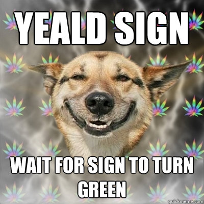 yeald sign  wait for sign to turn green  Stoner Dog