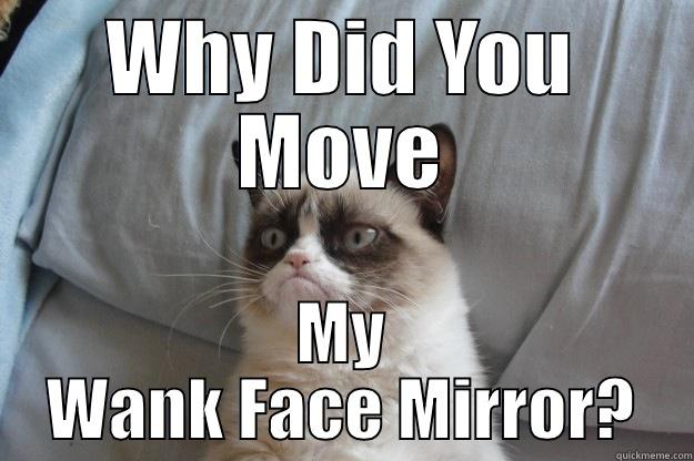 WHY DID YOU MOVE MY WANK FACE MIRROR? Grumpy Cat