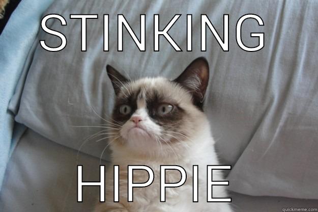 STINKING HIPPIE Grumpy Cat