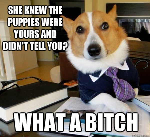 She knew the puppies were yours and didn't tell you? What a bitch  Lawyer Dog