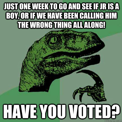 Just one week to go and see if Jr is a boy, or if we have been calling him the wrong thing all along! Have you voted?  Philosoraptor