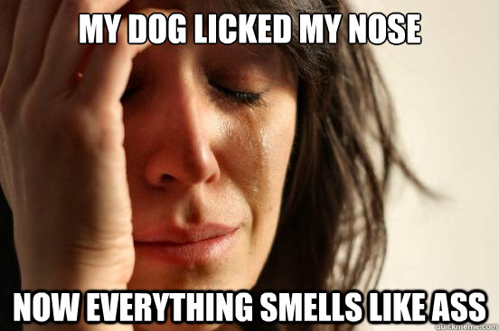 My dog licked my nose now everything smells like ass  First World Problems