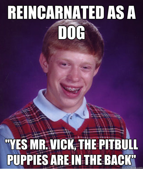 Reincarnated as a dog 