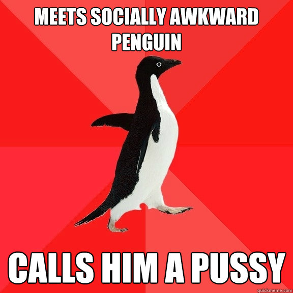 Meets socially awkward penguin Calls him a pussy  Socially Awesome Penguin