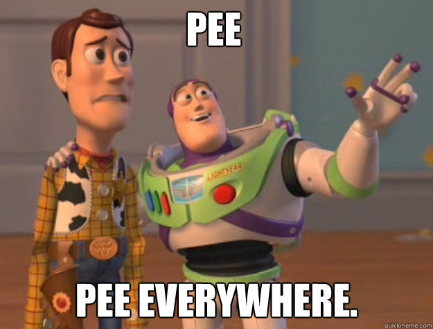 Pee Pee everywhere. - Pee Pee everywhere.  Toy Story