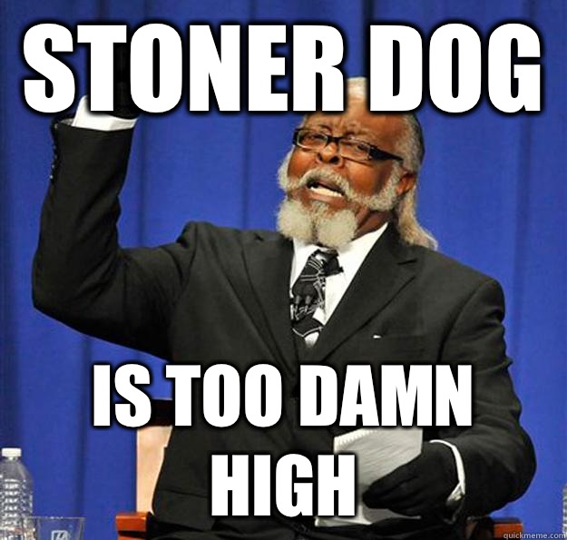 Stoner Dog Is too damn high - Stoner Dog Is too damn high  Jimmy McMillan