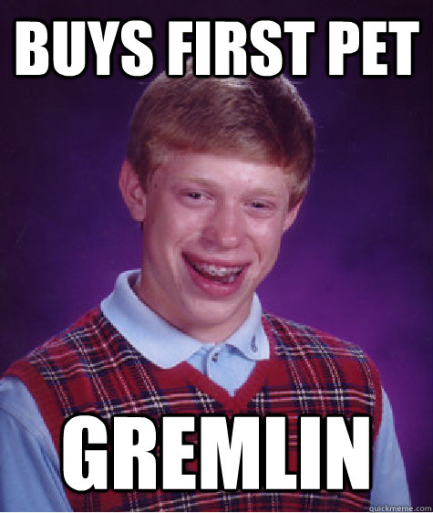 Buys first Pet  Gremlin  Bad Luck Brian