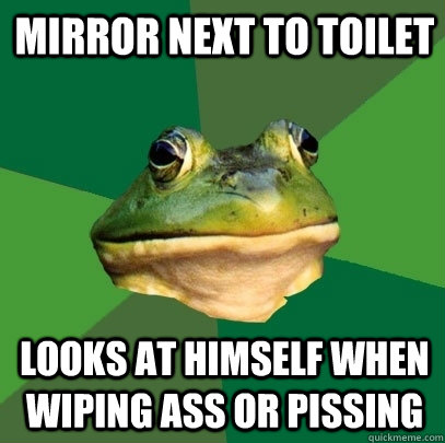 Mirror next to toilet looks at himself when wiping ass or pissing - Mirror next to toilet looks at himself when wiping ass or pissing  Foul Bachelor Frog