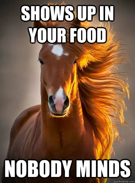 shows up in your food nobody minds  Ridiculously Photogenic Horse