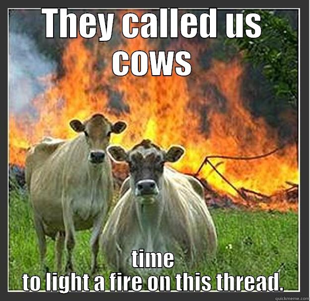 THEY CALLED US COWS TIME TO LIGHT A FIRE ON THIS THREAD. Evil cows