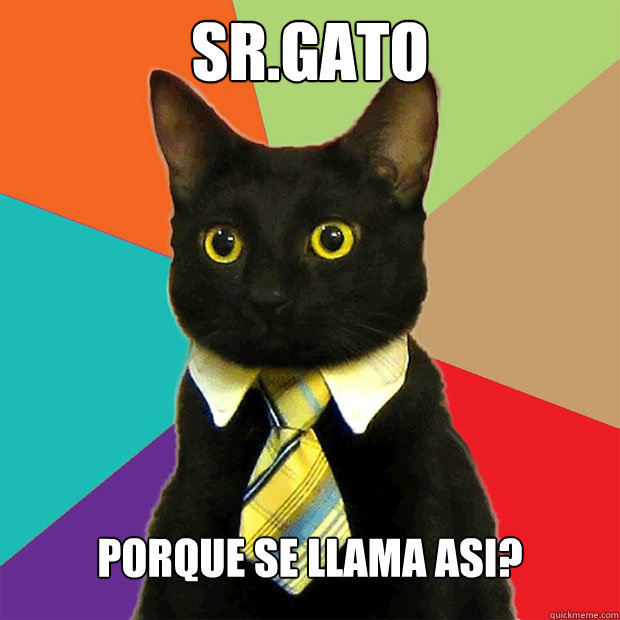 Sr.Gato Porque se llama asi?  Business Cat