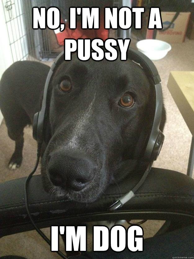 No, I'm not a Pussy I'm Dog  Gamer Dog