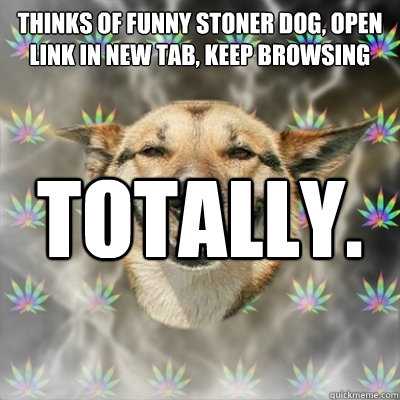 Thinks of funny stoner dog, open link in new tab, keep browsing Totally. Forget. - Thinks of funny stoner dog, open link in new tab, keep browsing Totally. Forget.  Stoner Dog