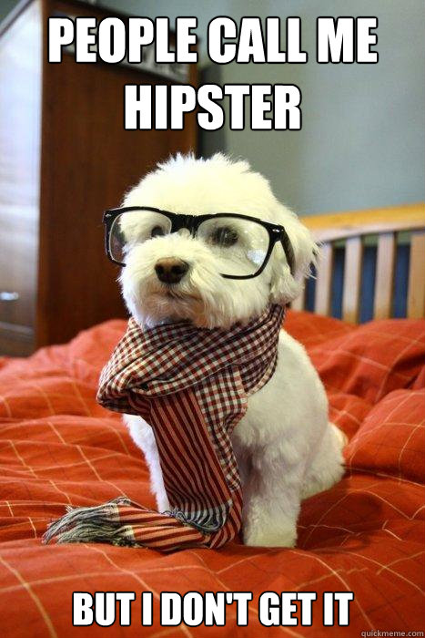 People call me hipster But I don't get it  Hipster Dog