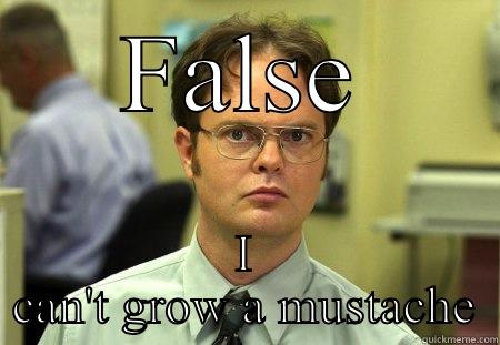 FALSE I CAN'T GROW A MUSTACHE Schrute