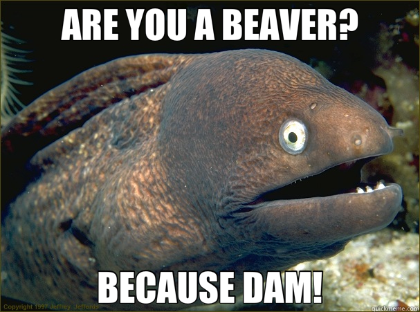 ARE YOU A BEAVER? BECAUSE DAM!  Bad Joke Eel