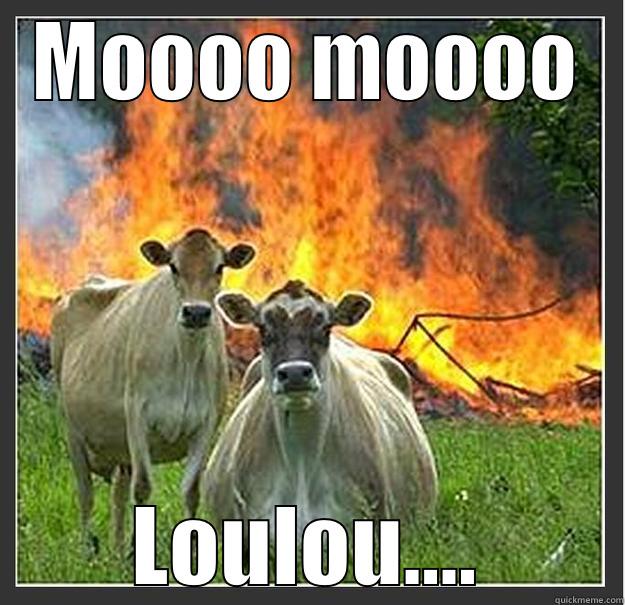 MOOOO MOOOO LOULOU.... Evil cows