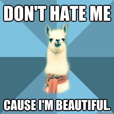 Don't hate me cause I'm beautiful. - Don't hate me cause I'm beautiful.  Linguist Llama