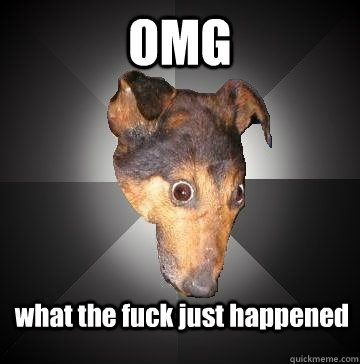 OMG what the fuck just happened  Depression Dog