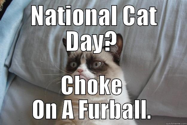  NATIONAL CAT DAY? CHOKE ON A FURBALL. Grumpy Cat