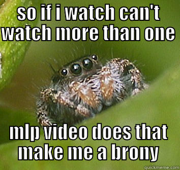 SO IF I WATCH CAN'T WATCH MORE THAN ONE   MLP VIDEO DOES THAT MAKE ME A BRONY Misunderstood Spider