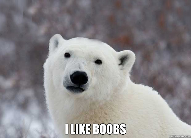  I like boobs  Popular Opinion Polar Bear