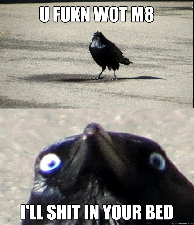 U FUKN WOT M8 I'LL SHIT IN YOUR BED  Insanity Crow