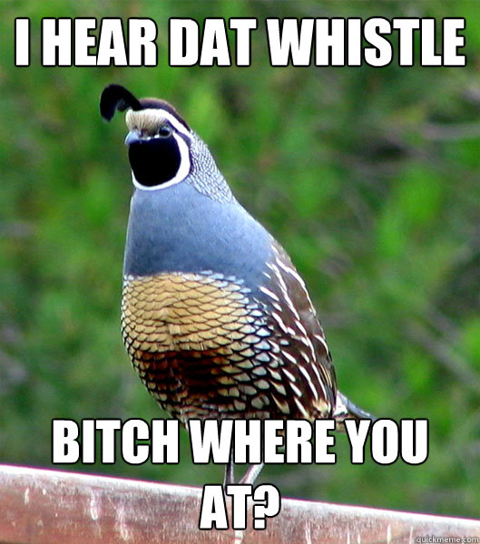 I hear dat whistle bitch where you at?  