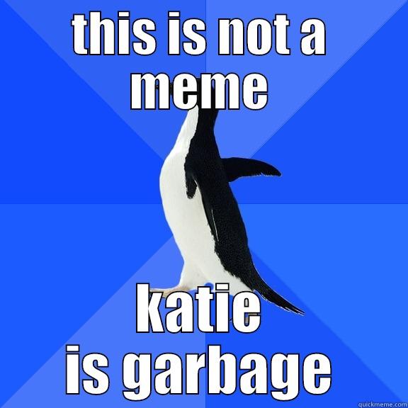 THIS IS NOT A MEME KATIE IS GARBAGE Socially Awkward Penguin