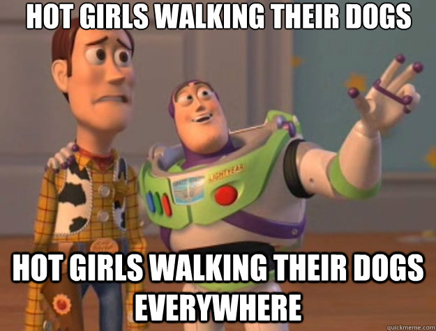 Hot Girls walking their dogs hot girls walking their dogs everywhere  Toy Story