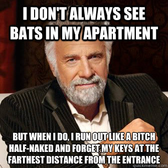 I don't always see bats in my apartment But when I do, I run out like a bitch  half-naked and forget my keys at the farthest distance from the entrance  I Dont Always Call Radio Stations