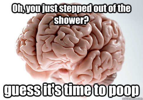 Oh, you just stepped out of the shower? guess it's time to poop  Scumbag Brain