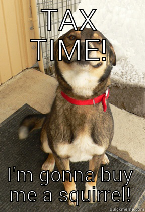 Tax Time Doggy - TAX TIME! I'M GONNA BUY ME A SQUIRREL! Good Dog Greg