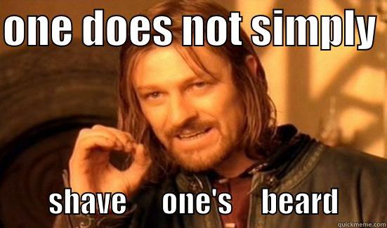 ONE DOES NOT SIMPLY           SHAVE      ONE'S     BEARD        Boromir