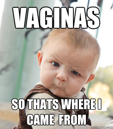 vaginas  so thats where i came  from  skeptical baby